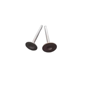 stock_code_141__valves_gy6_125_photo_1