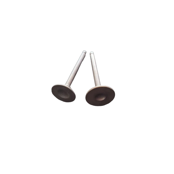 stock_code_141__valves_gy6_125_photo_1