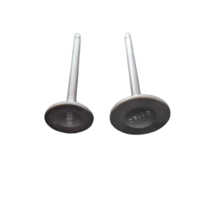 stock_code_144_cg_125_valves_photo_1