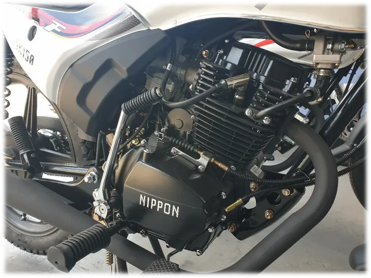 nippon150