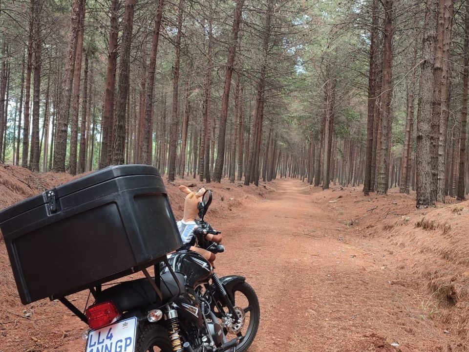 The Nippon 150 on a red-dirt pine forest track